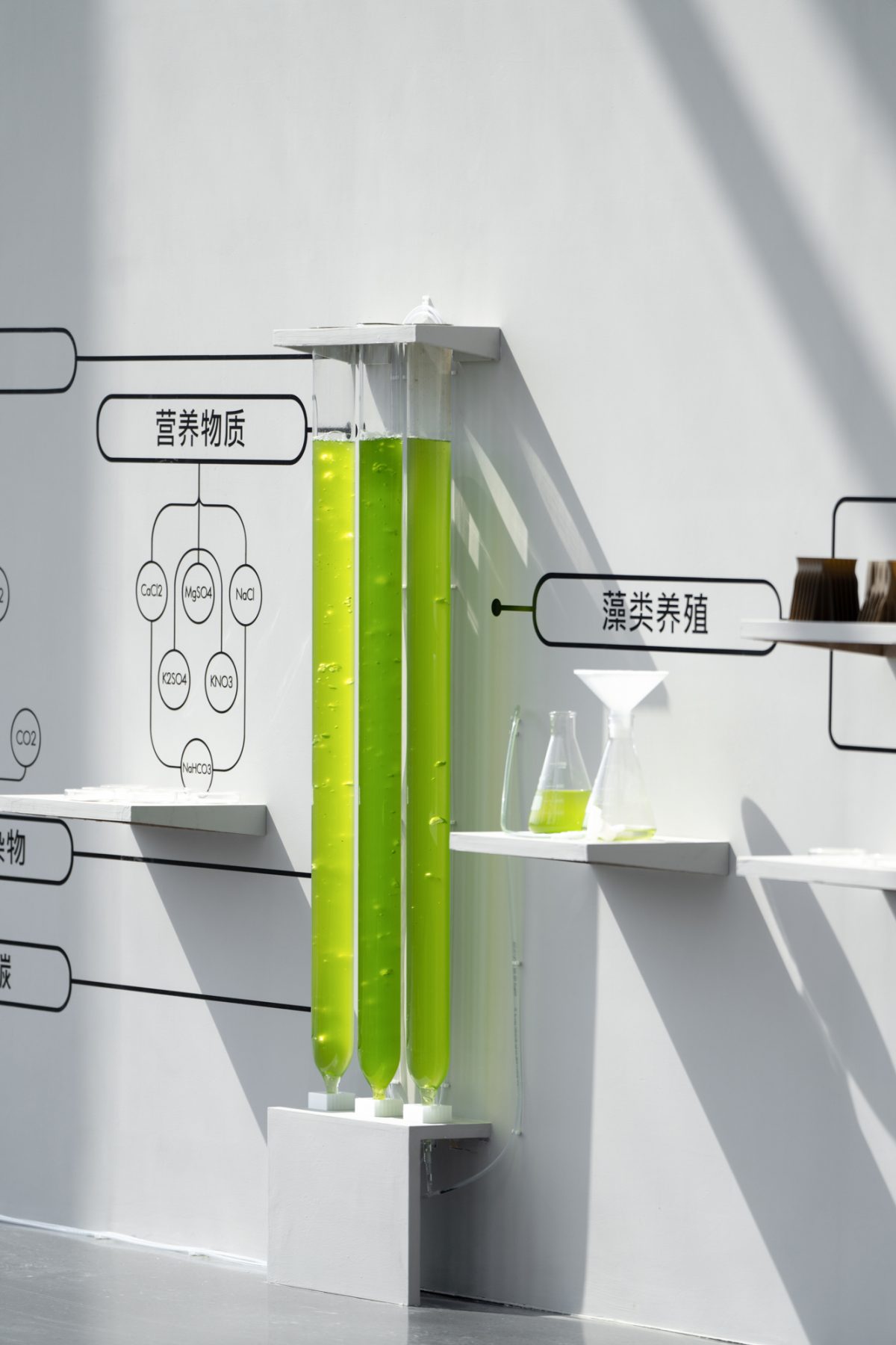 Tree.ONE, 一号树 | ecoLogicStudio