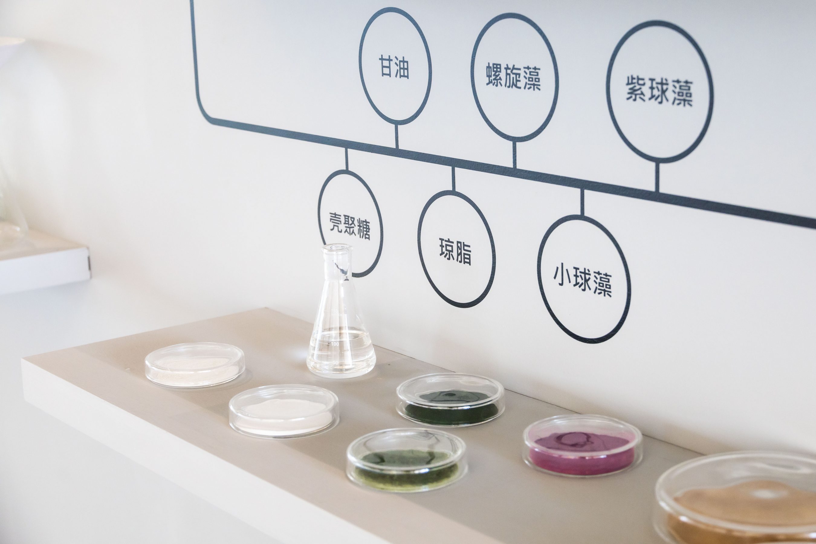 Tree.ONE, 一号树 | ecoLogicStudio